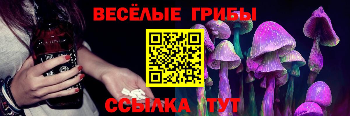 купить  сайты  Вход с VPN  Псилоцибиновые грибы Psilocybine cubensis  Москва  Галлюциногенные грибы GOLDEN TEACHER 