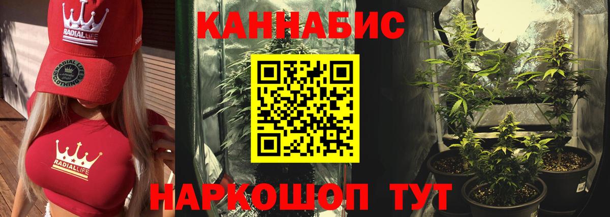 Каннабис THC 21% Москва